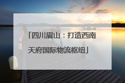 四川眉山：打造西南天府国际物流枢纽
